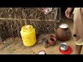 collecting fresh toddy drink from khajoor tree.