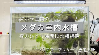 【メダカ水槽】ズボラ主婦のひとり時間｜メダカ水槽掃除｜主婦｜2歳と6歳｜男の子ママ