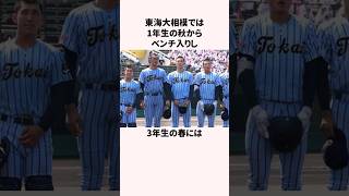 「史上最長のドラ1候補」に関する雑学 #野球解説 #東海大相模 #甲子園 #藤田琉生