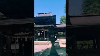 山口市豊栄神社 今八幡宮的夏末景致 嘿 小 城市记忆 日本旅游 慢下来看世界 风景 #Travel #Meditation #日本地接 #Tour #日本司导