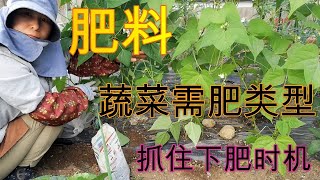 【丽的庭院生活　52】了解家庭菜园常见蔬菜需肥时期，抓住时机施肥，枝叶壮，果实多。