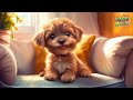 | Puppy Puppy woof - woof - woof | Nursery Rhymes | Cartoon Song for Toddlers & Kids | Educational |