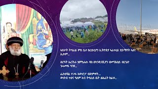 ኣቦታት ትግራይ ምስ ቤተ ክርስቲያን ኢትዮጵያ ኣፈላላይ ሃይማኖት ኣለና ስርዓት ኤርትራ ዝምከሐሉ ዳስ ስካንዲናቪያን ብመንእሰይ ብርጌድ ንሓመዱ ዓንዩ..