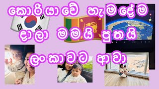 කොරියාවේ හැමදේම අතහැරලා මායි පුතයි ලංකාවට ආවා 😳🥺🇰🇷