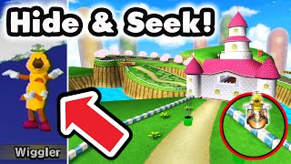 HIDE & SEEK on 3DS Tracks in Mario Kart Wii!