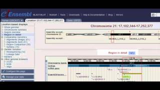 Browsing RNA-Seq Data in Ensembl