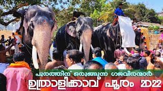 ഉത്രാളി പൂരത്തിന് ഒരുങ്ങുന്ന ഗജവീരന്മാർ 🔥🥰 | Uthralikavu Pooram 2022 | Uthralikavu Pooram