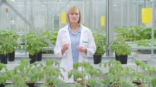Serenade Biological Fungicide: Powered by Nature, Empowered by Science