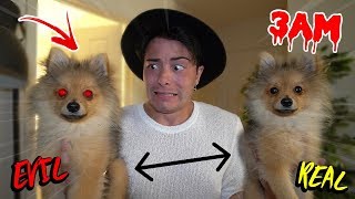 GIVING CLONE POTION TO MY PUPPY AT 3 AM CHALLENGE!! *EVIL TWIN*