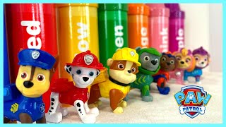Paw Patrol Learning Colors! Let's Have Fun Learning!