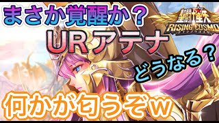 【LIVE】聖闘士星矢ライジングコスモ　URアテナが覚醒間近か？なんか匂うwwそして次のガチャを大胆予想。根拠も少しあるww信じるか信じないかはあなた次第だ！w