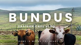 VLOG: EASTERN CAPE | MGIDI SEASON | ISIXHOSA