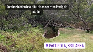 Another hidden beautiful place near the Pattipola station | Sri Lanka @UntitlebyDelanAmarathunga