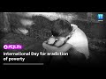 International Day for the Eradication of Poverty 2021: Building Forward Together