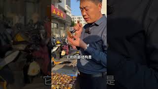 黄沁中的岫玉是怎么回事？