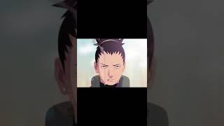 Asuma's Team 10 || Formation Ino-Shika-Cho || Naruto