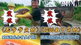 包下爷爷养了2年的老鱼塘，里面的鱼竟然这么大？｜花1200元包下被大水冲垮的甲鱼塘，里面还能发现多少甲鱼？｜#户外抓鱼 #户外捕鱼 #大表哥抓鱼 #乡村生活 #农村生活