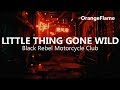 Black Rebel Motorcycle Club - Little Thing Gone Wild (lyrics)