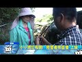 20170712中天新聞　小小網紅吸睛！　「陸蟹產卵直播」上線