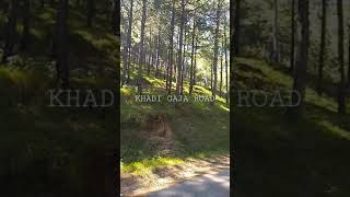 Khadi Gaja Road View.#shortfeed #youtubeshorts #shorts #youtube