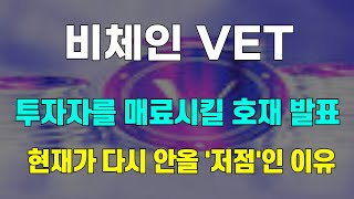 비체인 VET 투자자를 매료시킬 호재 발표 현재가 다시 안올 '저점'인 이유