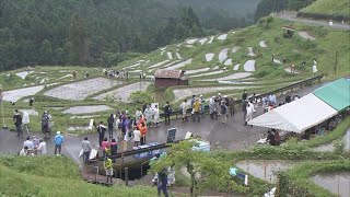 「丸山千枚田」で3年ぶり「田植えの集い」　田んぼのオーナーたちが悪戦苦闘　田植え体験