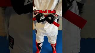 All Belts in Karate Fighting 💥✔👍 Martial Arts #shorts #fighting