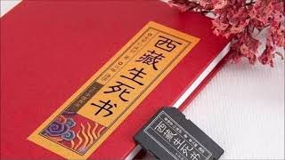 西藏生死書  索甲仁波切 4  第一章 在死亡的境子中（中）