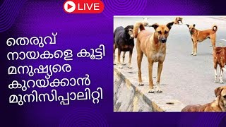 മനുഷ്യരേക്കാൾ നായ പൊന്നാനിയിൽ||dog mela ponnani||fusionbyhabeeb