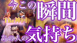 💞The神回💞今この瞬間のあの人の気持ち🦋タロット オラクルカード ルノルマンカード リーディング#262