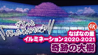 [4K] なばなの里 イルミネーション2020-2021「奇跡の大樹」 |  \