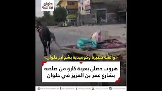 هروب حصان بعربة كارو من صاحبه بشارع عمر بن عبدالعزيز في حلوان ويصطدم بسيارة وتوكتوك أمام مرور حلوان