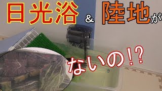 【亀】日光浴も陸地もないなんて、こんな水槽あんまりだ！！【飼育環境】