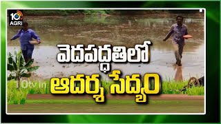 వెదపద్ధతిలో ఆదర్శ సేద్యం | Traditional Paddy Cultivation | Matti Manishi | 10TV Agri