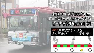 新潟交通 萬代橋ライン　いすゞエルガ　走行音　新潟駅前～万代シテイ