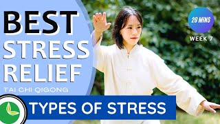 Fri May 21, 2021 | Week 7 | 20-min Best Stress Relief Routine with Tai Chi Qigong: Types of Stress
