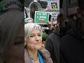 Who is Jill Stein?