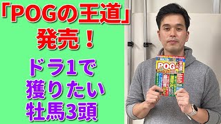 2022年のPOG「ドラフト1位で獲りたい牡馬」大公開！