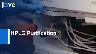 HPLC Purification to Produce Amyloid Beta Peptides | Protocol Preview