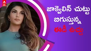 Jacqueline Fernandez: మనీలాండరింగ్ కేసులో నిందితురాలిగా జాక్వెలిన్ ఫెర్నాండెజ్ |ABP Desam