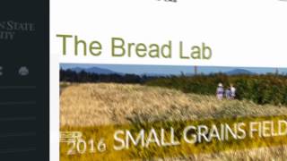 Bright Ideas: Brooklyn Bread Lab
