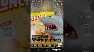 Shark puppet gets lunchly!