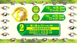 五洲網拍嚴選～建凱鴿舍 陳志明第二場領前鴿 \u0026 NO.21～40精選精英育種鴿 原鴿影音真實呈現