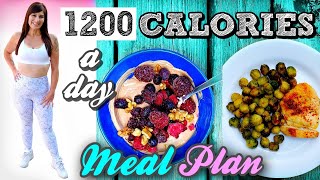 My NEW 1200 CALORIE  A DAY MEAL PLAN FOR FAST WEIGHT LOSS (Exact Diet)