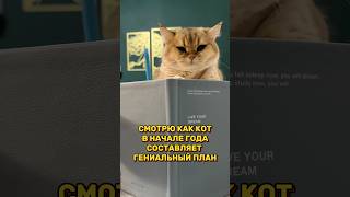 Кажется что-то пошло не так 🤔 Или его план был не настолько гениален? #katyapoy #котики #лаки #юмор