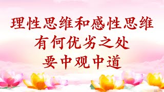 卢台长【节目录音+字幕】理性思维和感性思维有何优劣之处；要中观中道