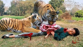 Tiger attack children in forest | Royal bengal tiger | Tiger attack man in the forest