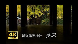 イチョウに囲まれて凛とたたずむ拝殿【新宮熊野神社】