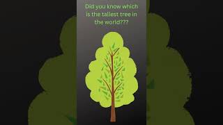 Tallest tree in the world, ലോകത്തിലെ ഏറ്റവും വലിയ മരം