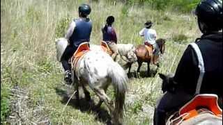 【乗馬・外乗】ノーサイド　外乗⑫　並足下山編　長野県　2011年6月